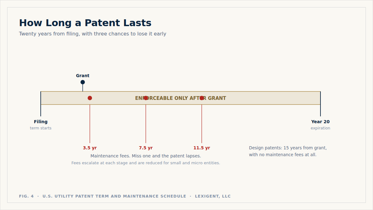 Diagram of a 20-year patent term from filing, showing grant partway through and maintenance fees due at 3.5, 7.5, and 11.5 years